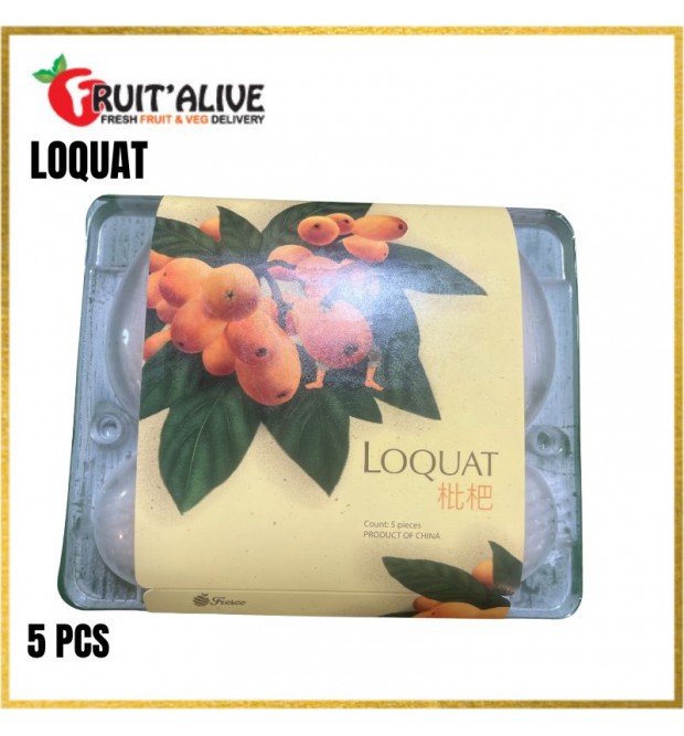 LOQUAT FROM CHINA 5 PIECES (FRUIT)