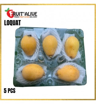 LOQUAT FROM CHINA 5 PIECES (FRUIT)