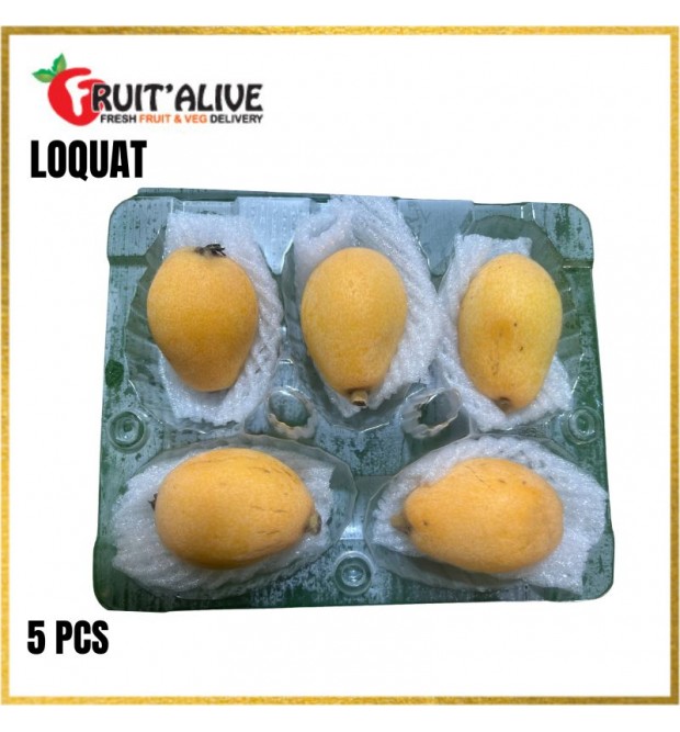 LOQUAT FROM CHINA 5 PIECES (FRUIT)