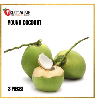 YOUNG COCONUT FROM MALAYSIA 3 PCS