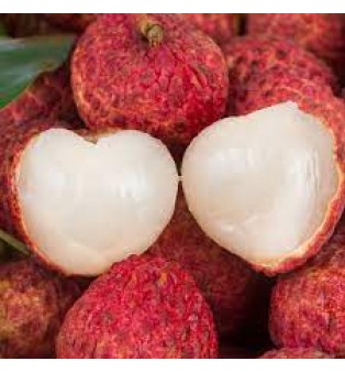 NUO MI LYCHEE FROM CHINA 500G