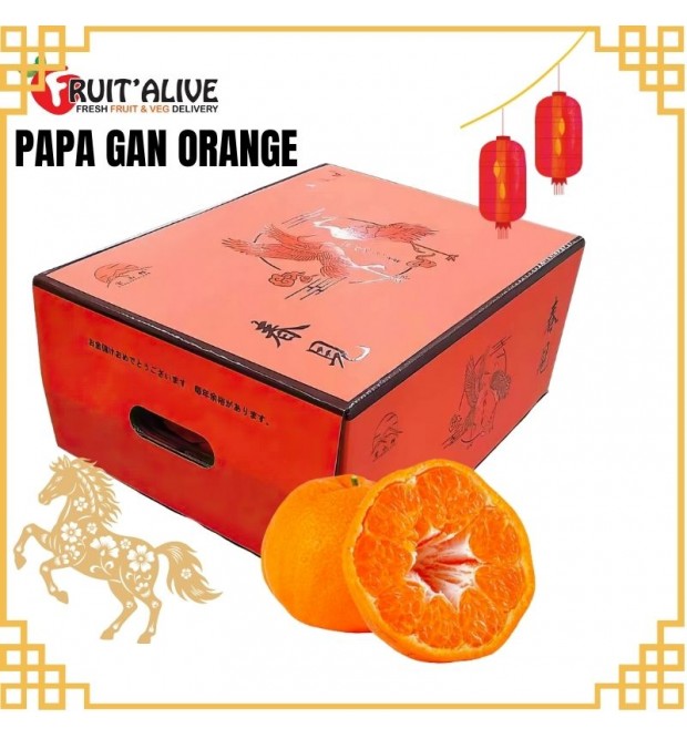 CHUN JIAN PAPA GAN 春见粑粑柑 3KG 14-18 PCS (FRUIT)