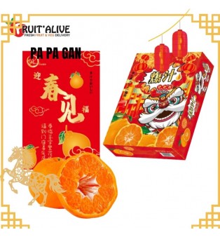 CHUN JIAN PAPA GAN 春见粑粑柑 2KG 6-10 PCS (FRUIT)