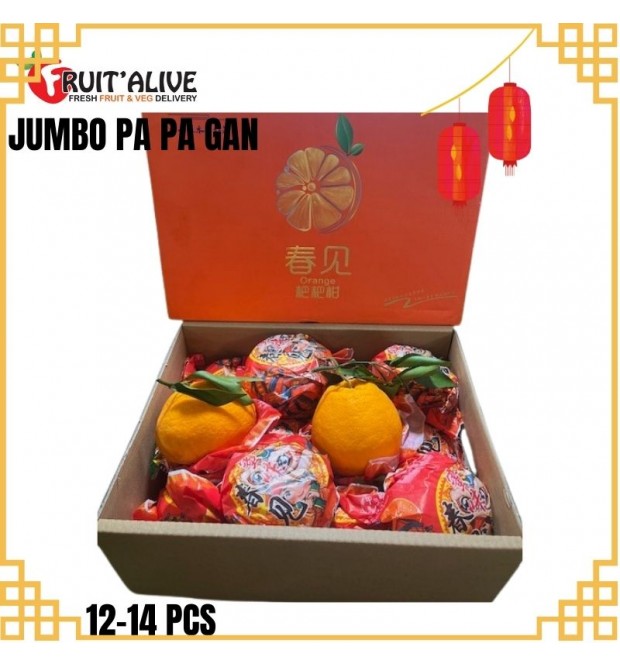 CHUN JIAN PAPA GAN 春见粑粑柑 14-18 PCS (FRUIT)