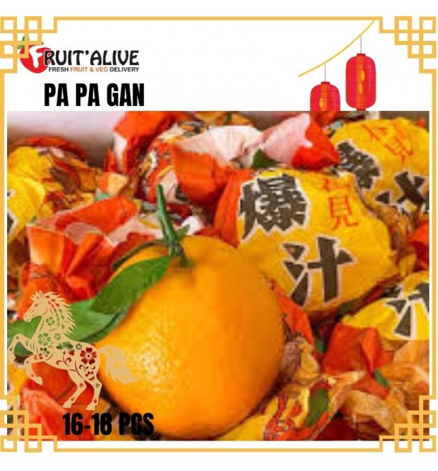 CHUN JIAN PAPA GAN 春见粑粑柑 14-18 PCS (FRUIT)