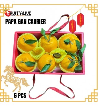 PAPA GAN 春见粑粑柑 CARRIER 6 PCS JUMBO (FRUIT)