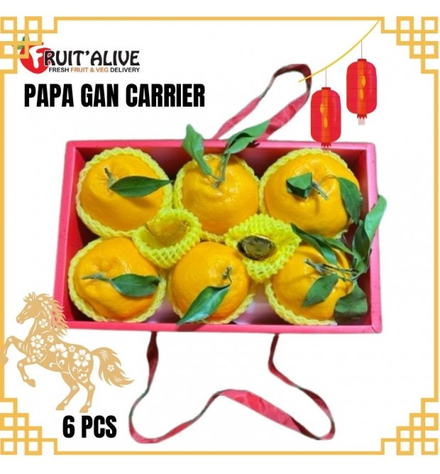 PAPA GAN 春见粑粑柑 CARRIER 6 PCS JUMBO (FRUIT)