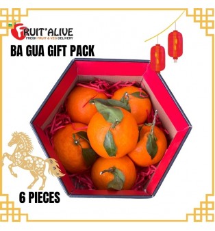 BA GUA GIFT PACK JUMBO 6 PCS FROM CHINA -PAPA GAN