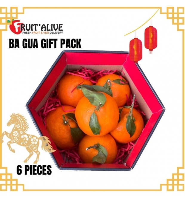 BA GUA GIFT PACK JUMBO 6 PCS FROM CHINA -PAPA GAN