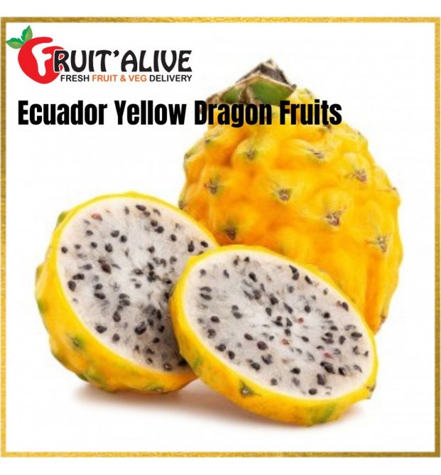ECUADOR YELLOW DRAGON FRUITS (XL SIZE) 2 PCS