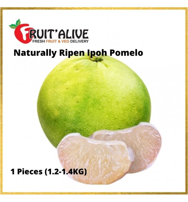 MALAYSIA IPOH TAMBUN SWEET POMELO 1.1-1.3KG