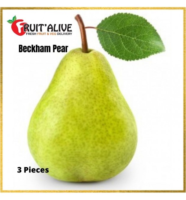 BECKHAM PEAR FROM ARGENTINA XL 3 PCS 