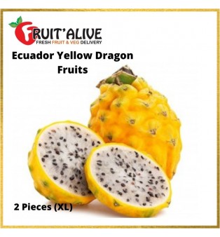 ECUADOR YELLOW DRAGON FRUITS (XL SIZE) 2 PCS