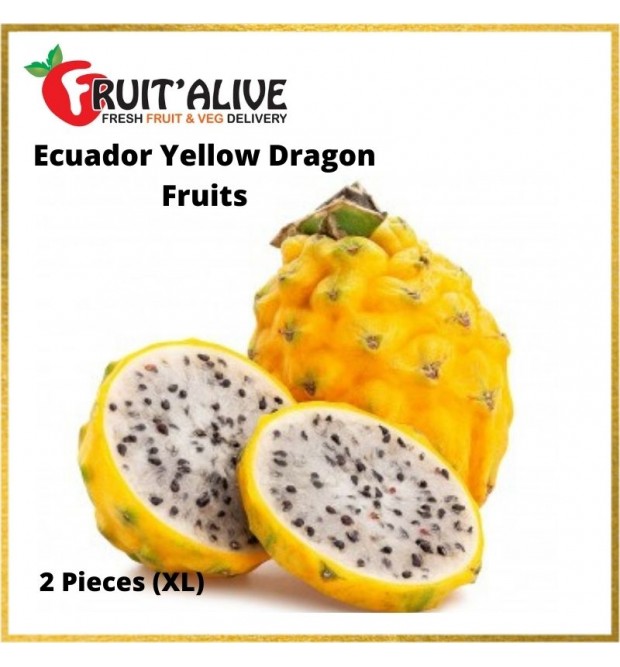 ECUADOR YELLOW DRAGON FRUITS- 1 CARTON (7-8 PCS)