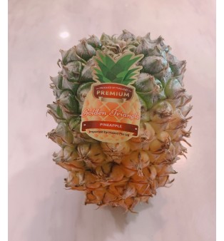 THAILAND GOLDEN TRIANGLE PINEAPPLE