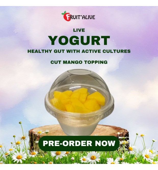 YOGURT (PRE-ORDER)  Please place your order at least 3 days in advance