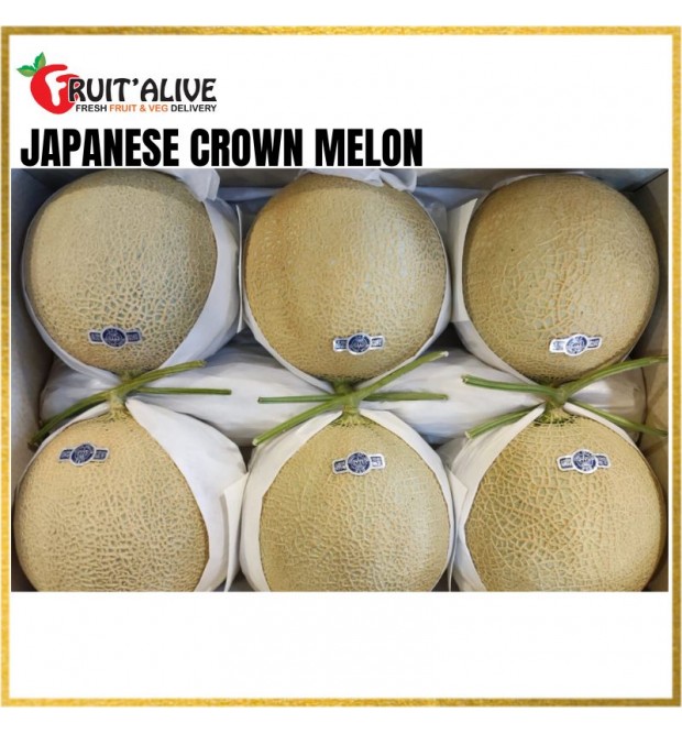 JAPANESE CROWN MELON