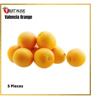 EGYPT VALENCIA ORANGE -5 PCS