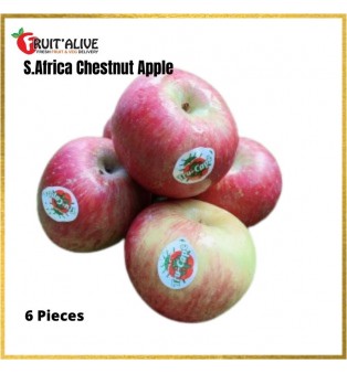 SOUTH AFRICA CHESTNUT APPLE- 6PCS