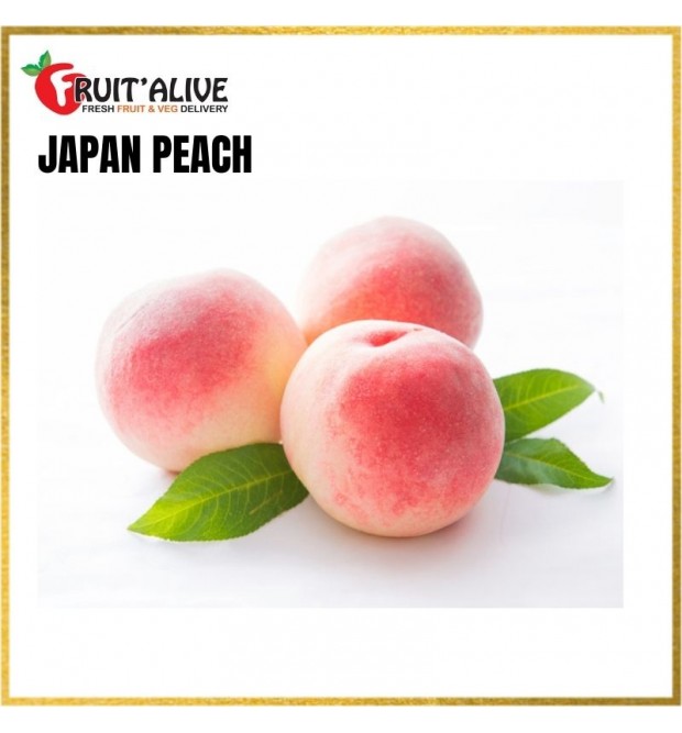 PEACHES FROM JAPAN 5-6 PIECES PER BOX (FRUIT) PEACHES FROM JAPAN 5-6 PIECES PER BOX (FRUIT)