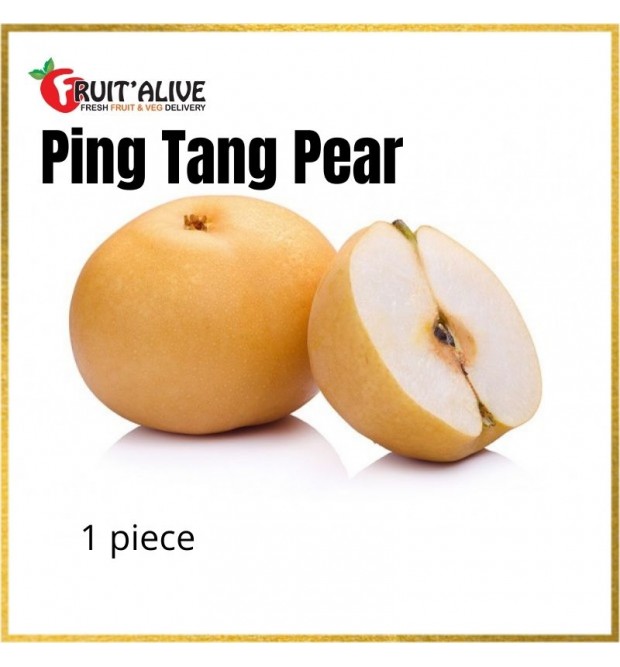 PING TANG PEAR (XL) 3 PCS