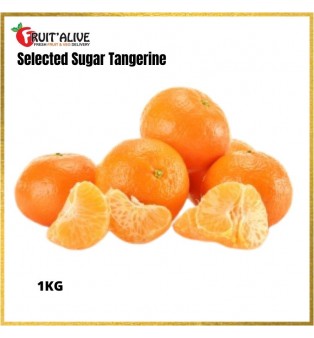 CHINA EMPEROR SUGAR TANGERINE 