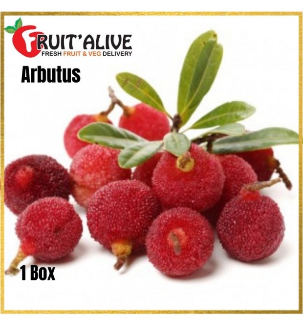 ARBUTUS FROM CHINA 350G