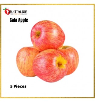 GALA APPLE NEW ZEALAND 6 PCS