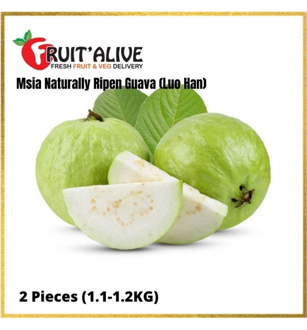 LUO HAN GUAVA FROM MALAYSIA 2 PIECES
