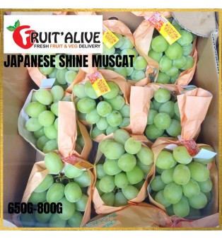 SHINE MUSCAT FROM JAPAN (FRUIT)