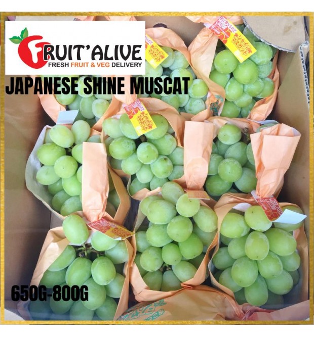 SHINE MUSCAT FROM JAPAN (FRUIT)