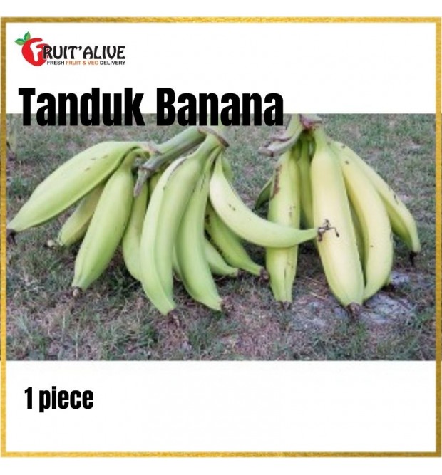 TANDUK BANANA FROM MALAYSIA 1 PCS 