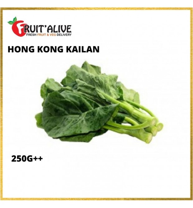 香港芥兰 HK KAILAN (250GM++)