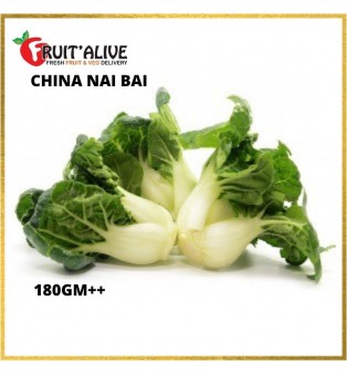 中国奶白 NAI BAI (180GM++)