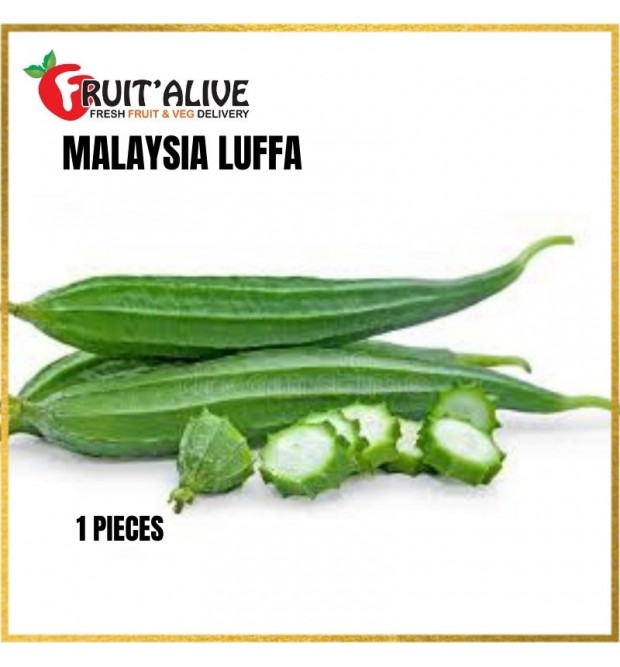 LUFFA /LOOFAH MALAYSIA (500-600G)
