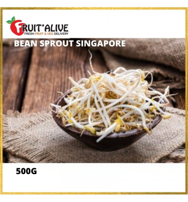 BEAN SPROUT SINGAPORE (500G)