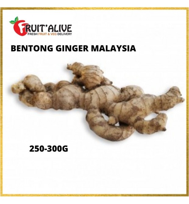 BENTONG GINGER MALAYSIA (250-300G)