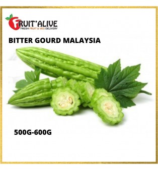 BITTER GOURD MALAYSIA (500-600G)