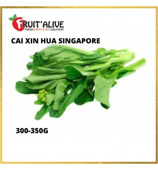 CAI XIN HUA SINGAPORE (300-350G)