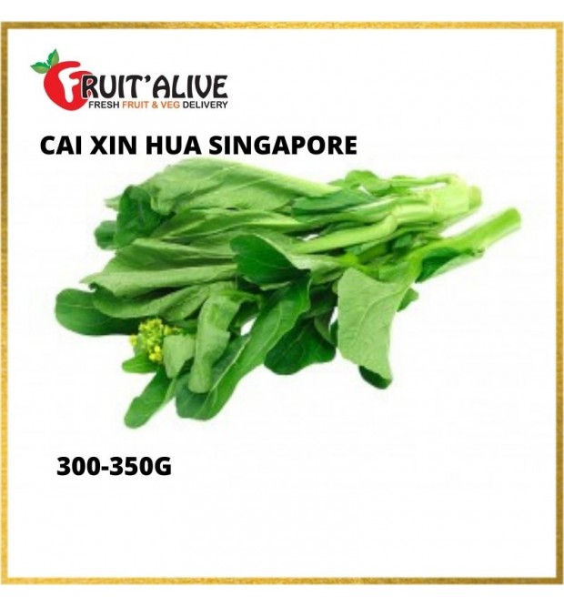 CAI XIN HUA SINGAPORE (300-350G)