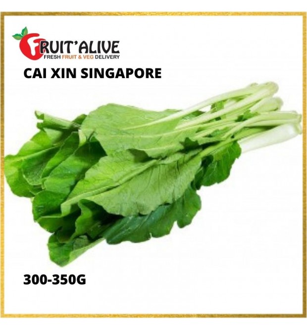 CAI XIN SINGAPORE (300-350G)