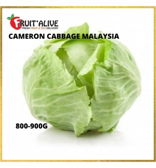 CAMERON CABBAGE MALAYSIA (800-900G)