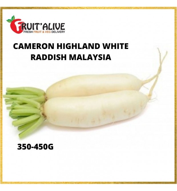 CAMERON HIGHLAND WHITE RADDISH MALAYSIA (350-450G)