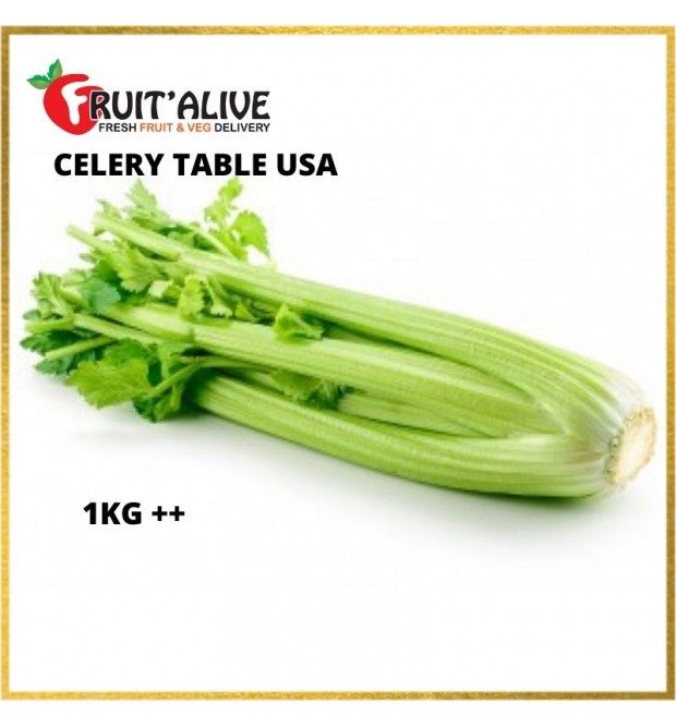 CELERY TABLE USA