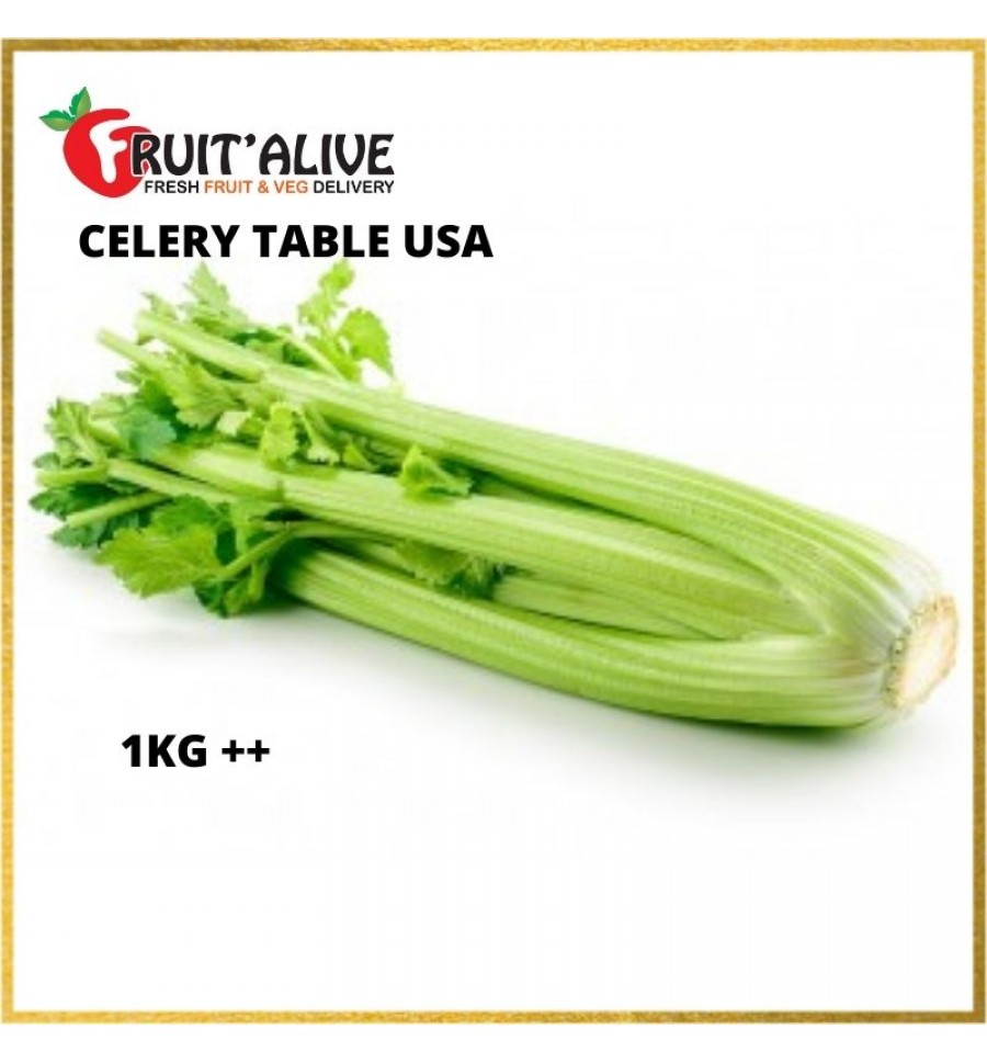 Make a bed Witty smuggling CELERY TABLE USA