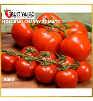 HOLLAND CHEERY TOMATO (440-500G)