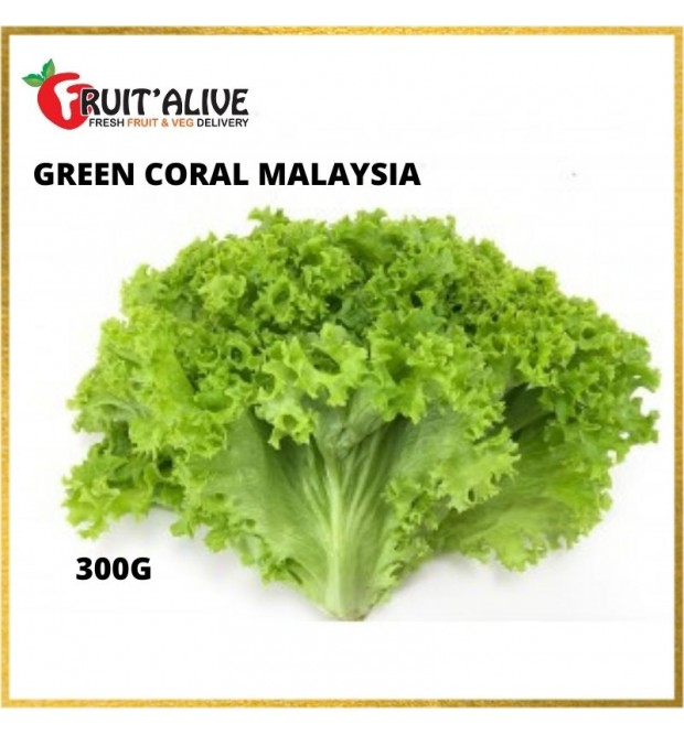 GREEN CORAL MALAYSIA (300G)
