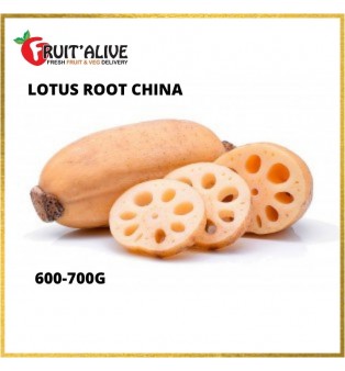 LOTUS ROOT CHINA (600-700G)