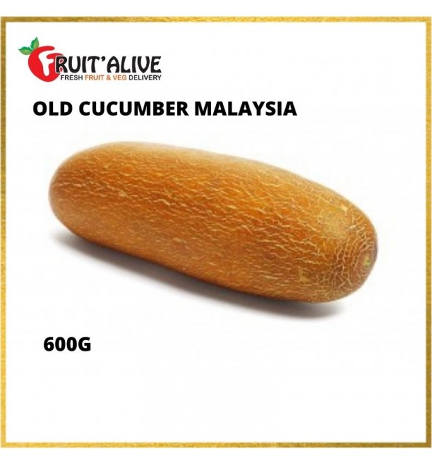 OLD CUCUMBER MALAYSIA (600G)
