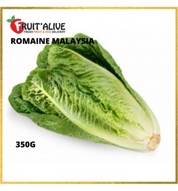 ROMAINE MALAYSIA (350G)